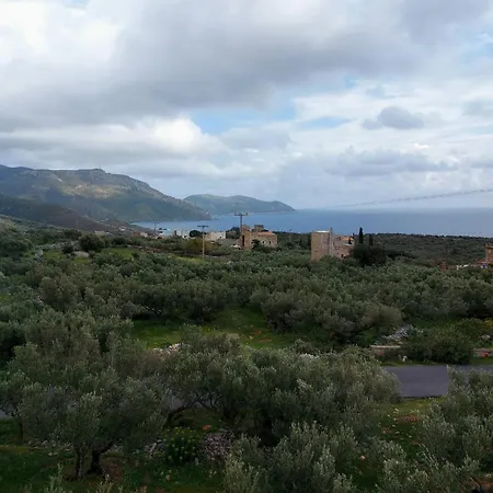 The View In * Álika